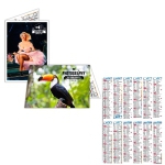 Calendrier de Poche