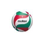 Ballon de Volley