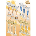 Lot de 12 Coupes