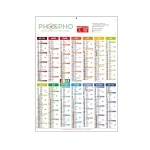 Calendrier standard vertical 14 mois 