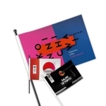 Mini drapeau de supporter