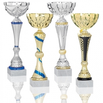 Lot de 12 coupes