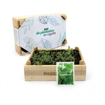 Kit de plantation cagette