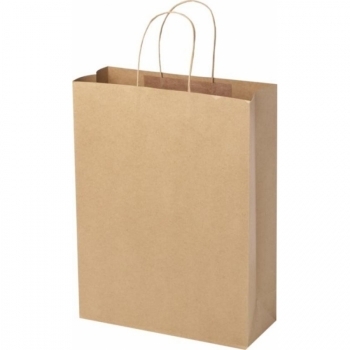 Sac en papier kraft 120 g/m² avec poignées torsadées 31 x 12 x 41 cm