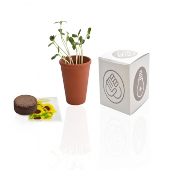 Cube plantation 10 cm