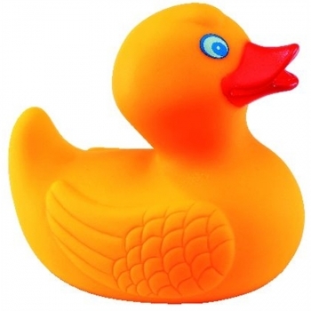 Canard